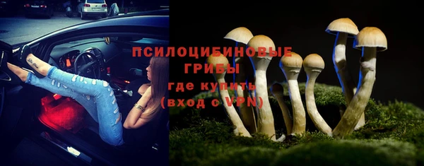 метадон Алексин
