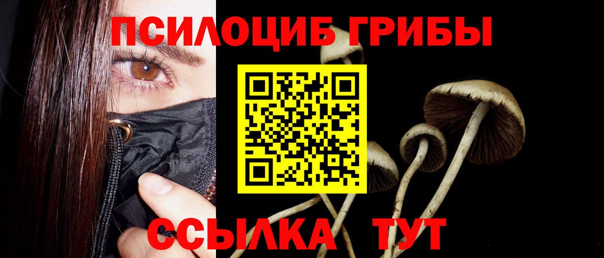 Псилоцибиновые грибы GOLDEN TEACHER  Псилоцибиновые грибы Magic Shrooms  Вход с VPN  Железноводск 